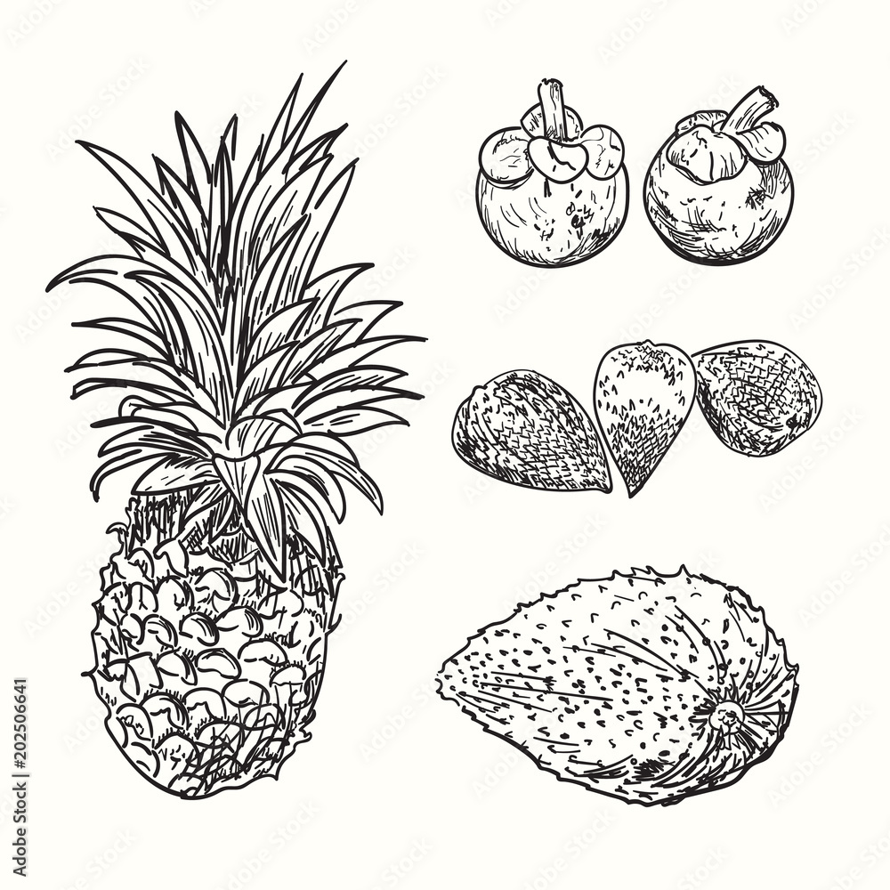 Vector Exotic Or Tropical Fruits Sketch Icons Set Stock Illustration -  Download Image Now - Drawing - Art Product, Yuzu Fruit, Passion Fruit -  iStock