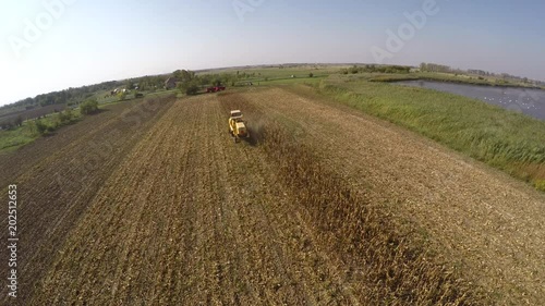 Aerial footage of combine-harvester working in corn field. Harvest of maize. Sunny fall day.