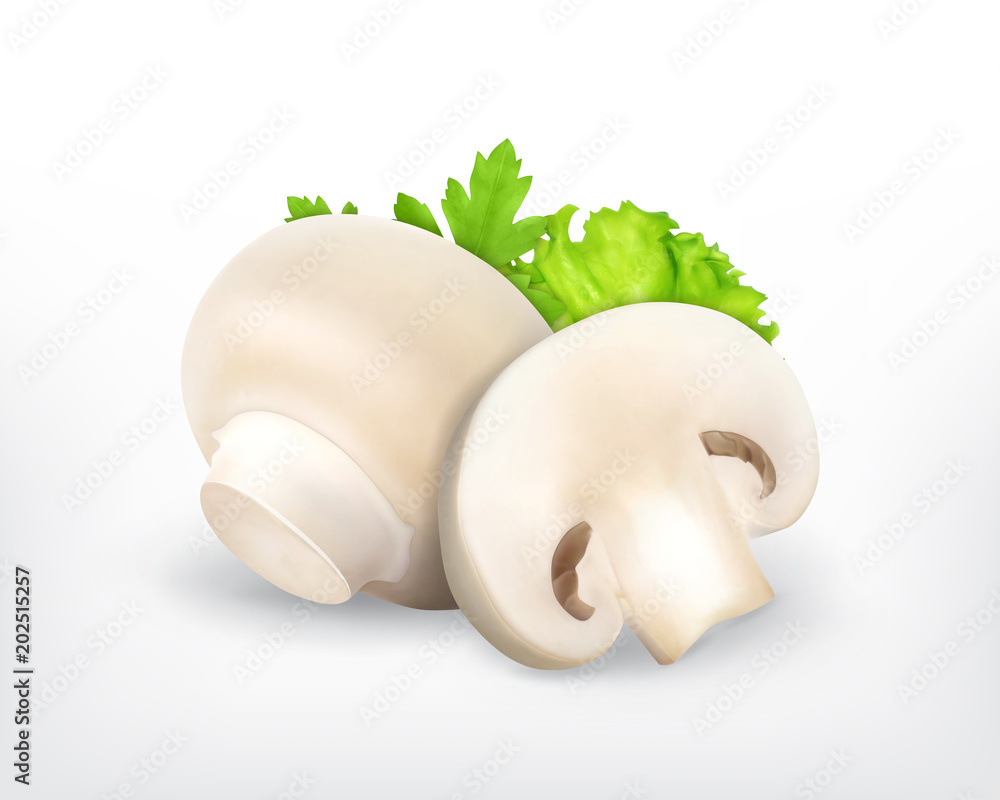 Fototapeta premium Champingnon with parsley and lettuce