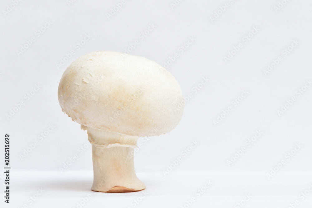 Beautiful white champignon side view. Champignon photographed on a white background Beautiful white champignon side view. Champignon photographed on a white background