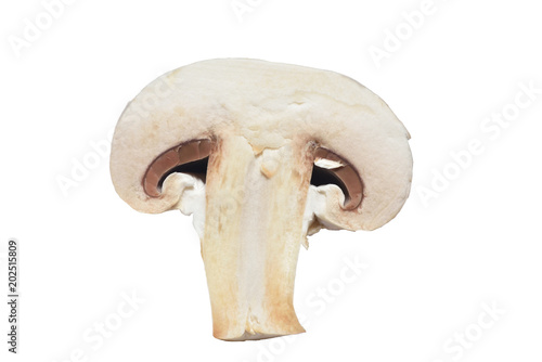Slice of a large mushroom close-up on a white background. Isolated