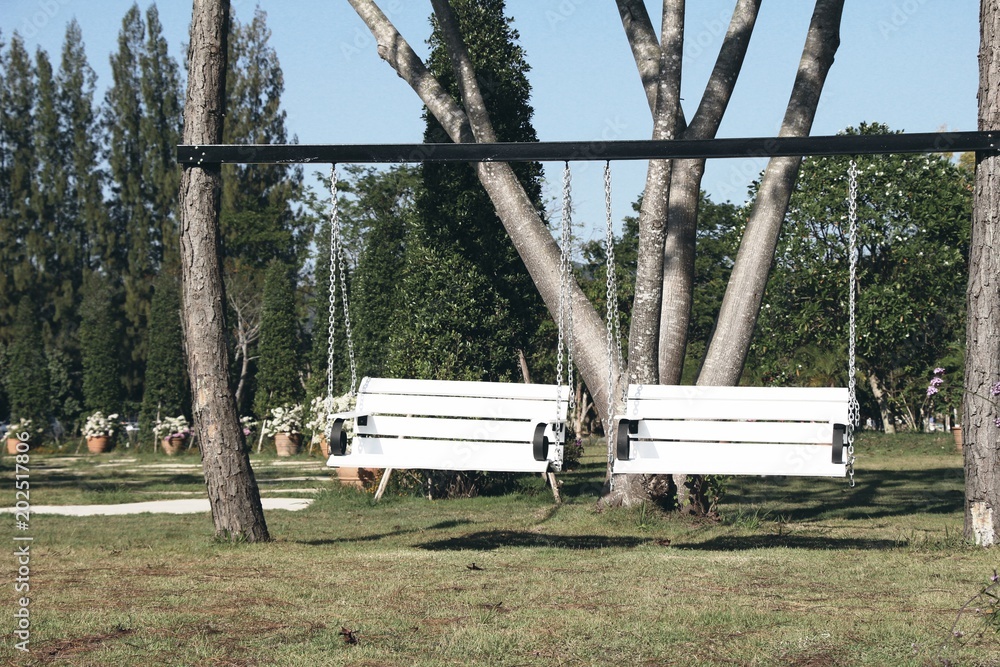White swing hanging on tree with nature White swing hanging on tree with nature
