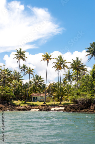 Island paradise with coconut trees and blue sky in the sea of Bahia, Brazil.