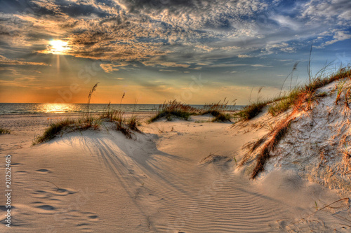 Fotografía View of Gulf of Mexico in St Joe St Park, St Joe, Fl