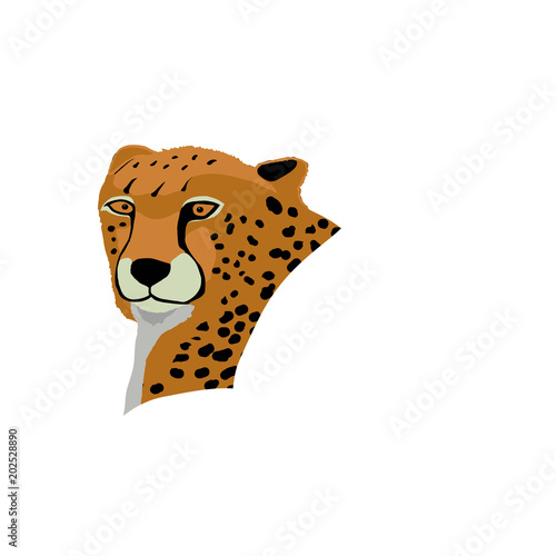 Leo-33
