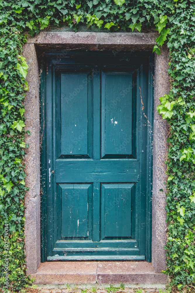 Door Door