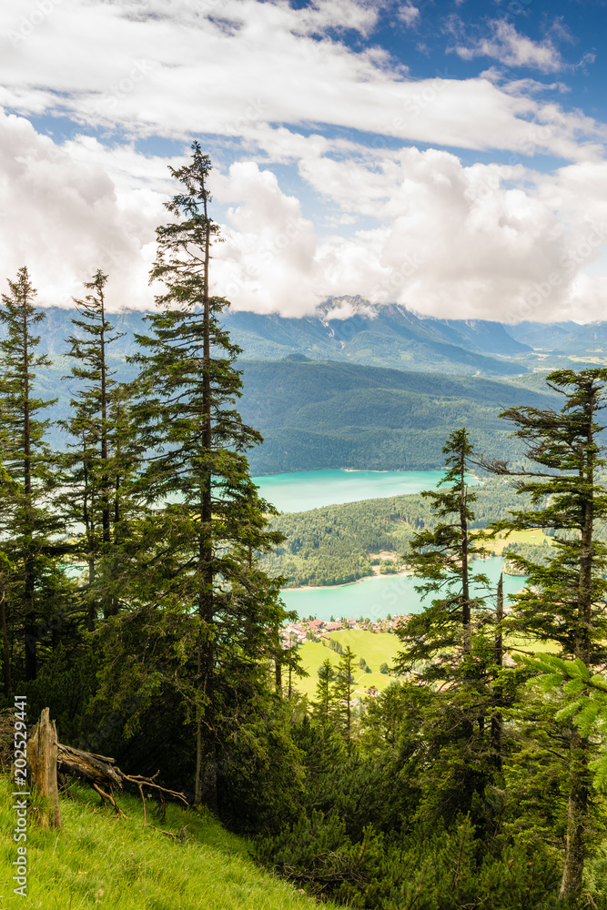 Fototapeta premium Aussicht auf See in den Bergen - Walchensee in den Alpen