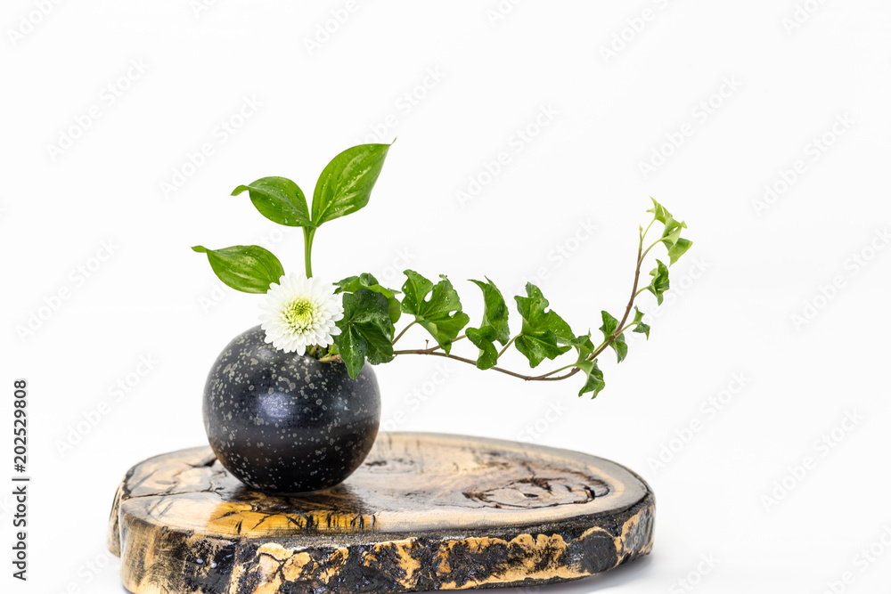 Φωτογραφία Japanese art of flower arrangement