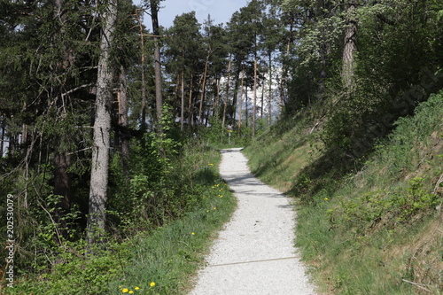 Wanderweg im Wald in Innsbruck Bergisel photo