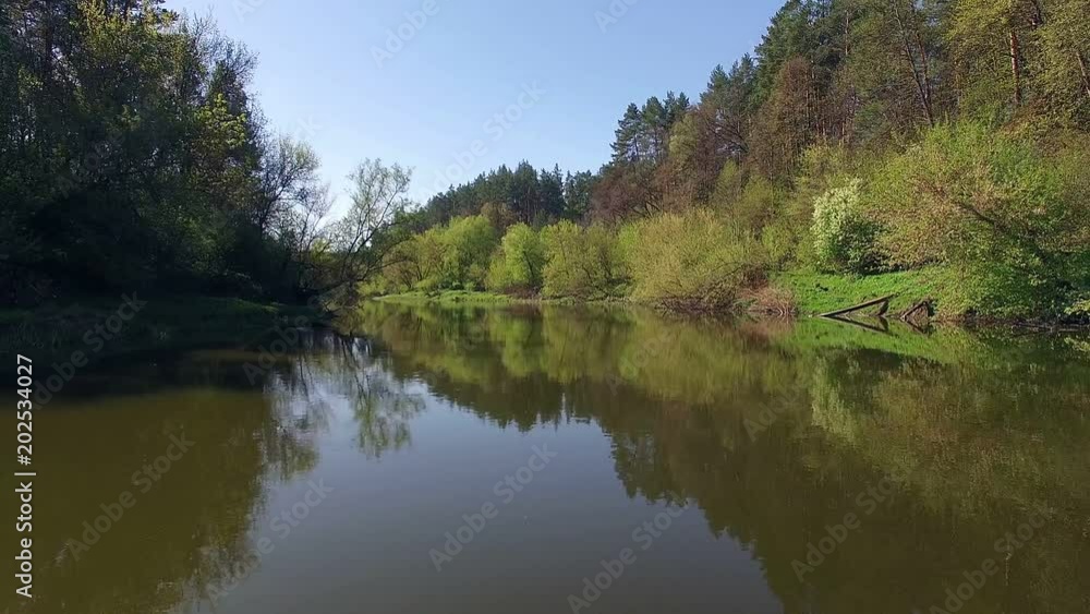 fly over forest river, 4K Aerial view of small river, flying over the river fly over forest river, 4K Aerial view of small river, flying over the river
