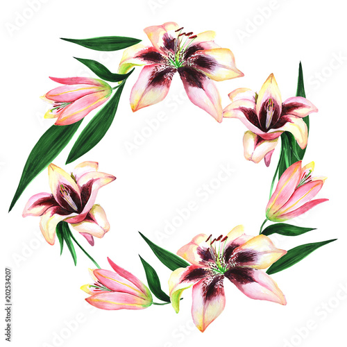 Fototapeta Naklejka Na Ścianę i Meble -  Watercolor pink and white lilies. You can use it for postcards, for congratulations, for your birthday, for your wedding day.