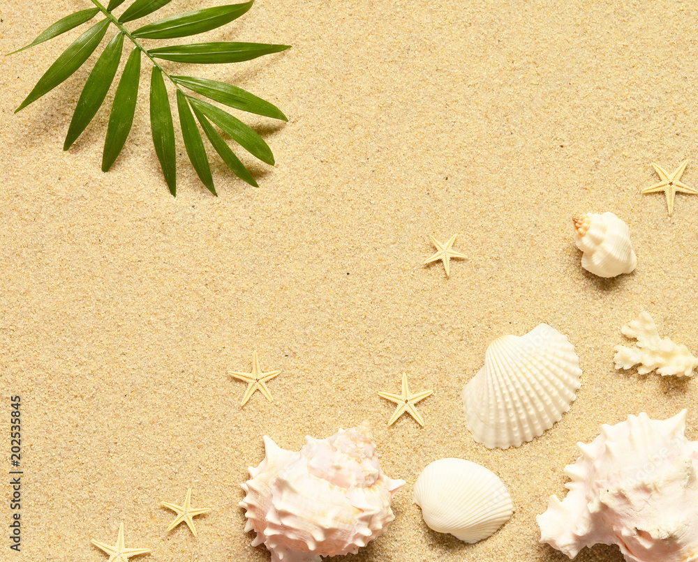 Sea sand with starfish and shells. Top view with copy space. Sea sand with starfish and shells. Top view with copy space.