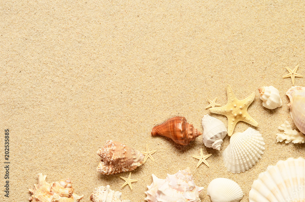 Sea sand with starfish and shells. Top view with copy space. Sea sand with starfish and shells. Top view with copy space.