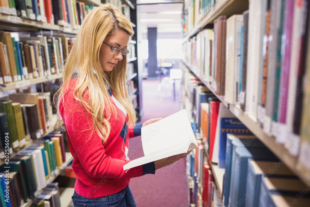 Mature student studying in the library Mature student studying in the library