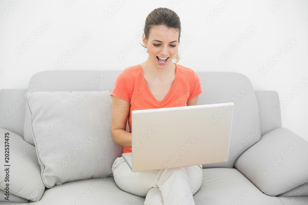 Gorgeous cheering woman working with her notebook sitting on couch Gorgeous cheering woman working with her notebook sitting on couch