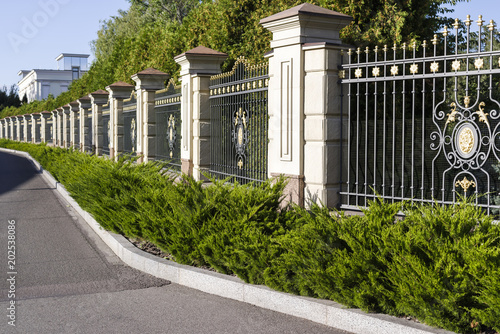 Фотография Metal forged fence with evergreen plants and shrubs decorating