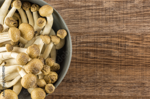 Fototapet Brown beech mushrooms Shimeji in a grey bowl top view isolated on wooden background