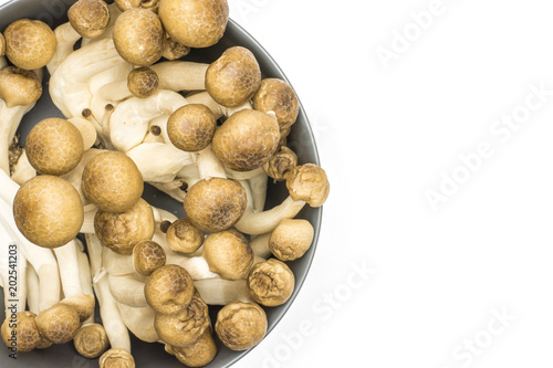 Brown beech mushrooms Shimeji in a grey bowl isolated on white background top view.