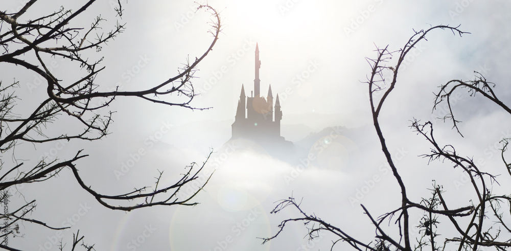 Φωτογραφία fairytale castle in mist from spooky wood