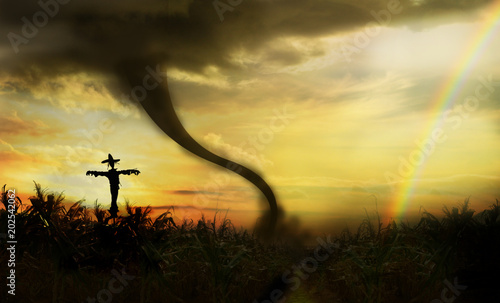 scarecrow in cornfield with rainbow and tornado in background