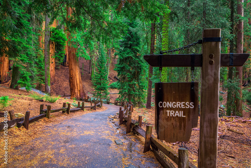 Congress Trail sign in Sequoia National Park
