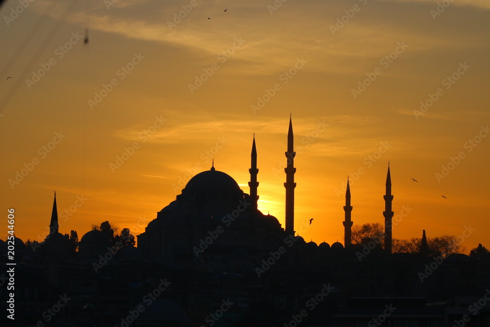 Suleymaniye Mosque at Sunset