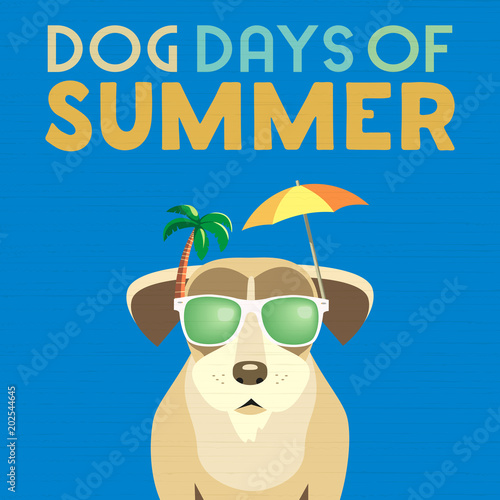 Dog days of summer