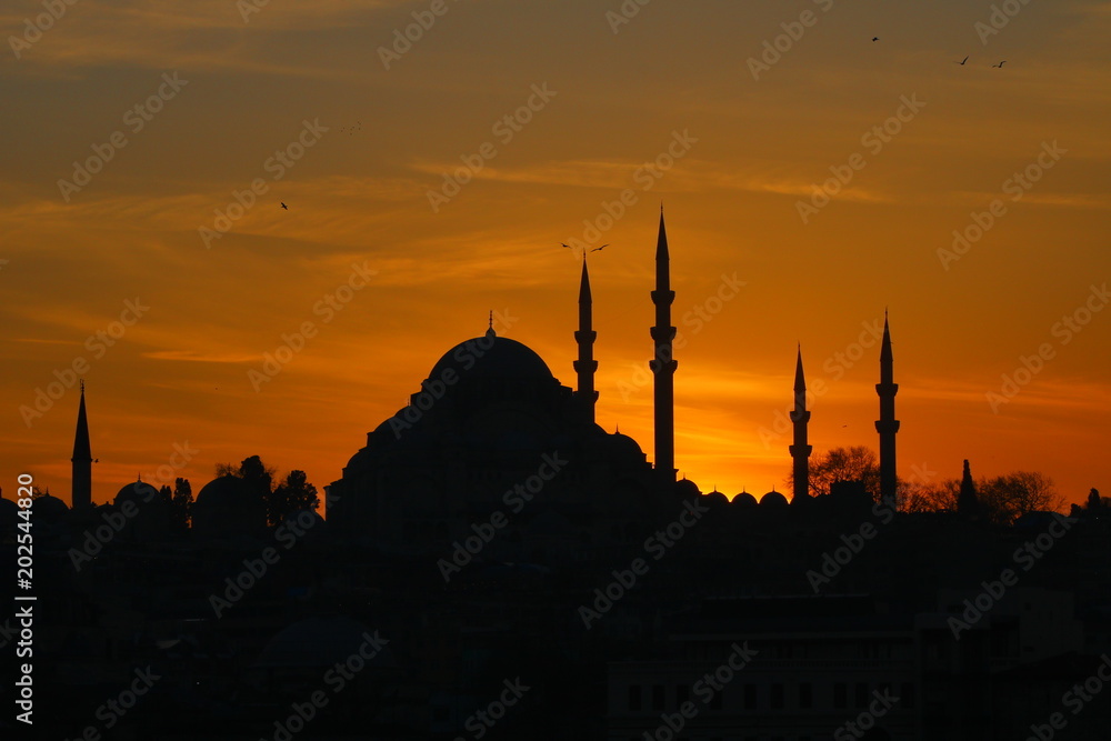 Suleymaniye Mosque at Sunset