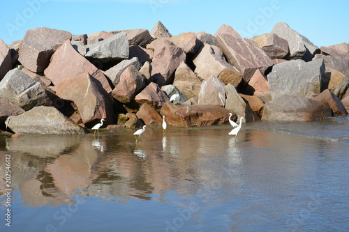 praia do cassino - rio grande rs  photo