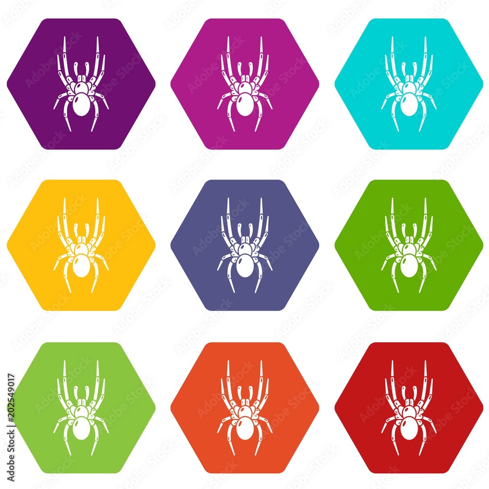 Spider icons 9 set coloful isolated on white for web