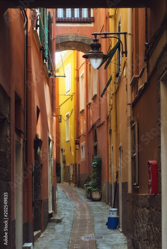 Narrow street of the Manarola village Italy