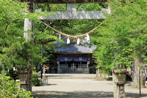 Obraz na płótnie 新緑の神社 w salonie