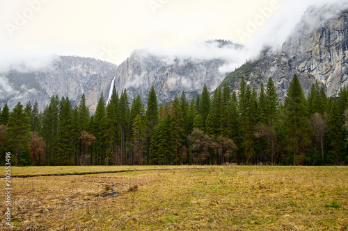 Fototapeta Park Narodowy Yosemite