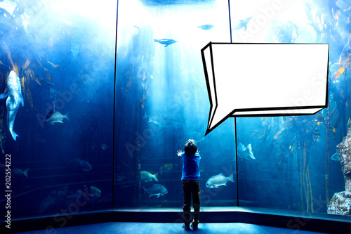Speech bubble against young man looking at penguins in a tank 