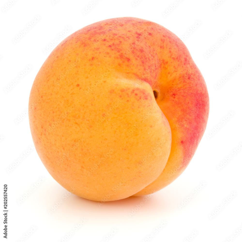One apricot isolated on white background cutout One apricot isolated on white background cutout