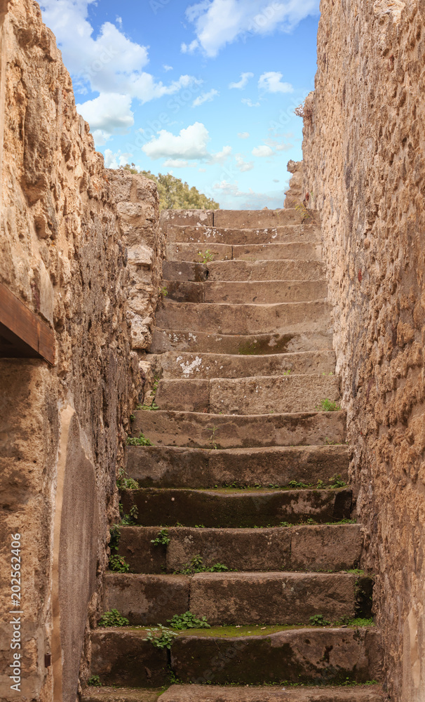 Obraz premium Steps in Pompeii