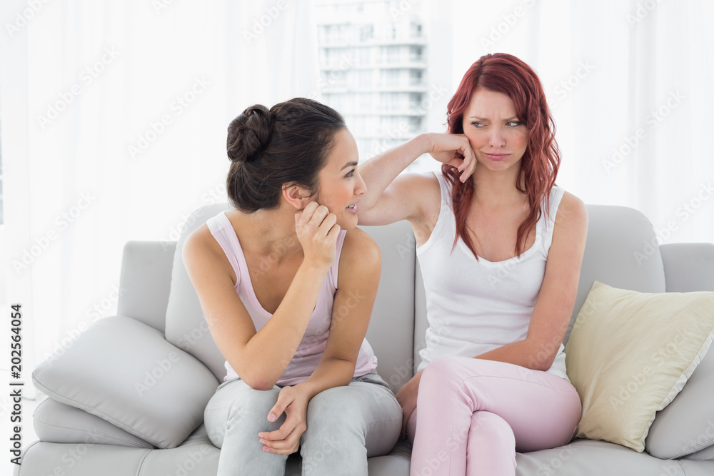 Two beautiful young female friends in living room Two beautiful young female friends in living room