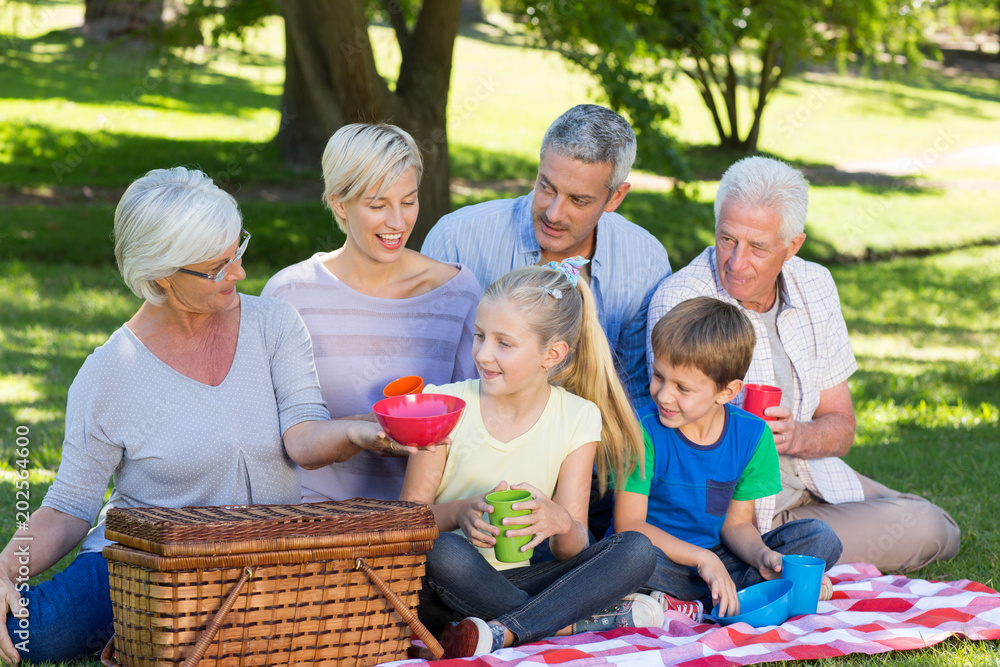 Fototapeta premium Happy family having picnic in the park 