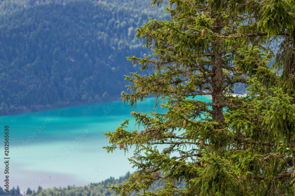 Aussicht vom Herzogstand auf den Walchensee in Alpen in Deutschland Aussicht vom Herzogstand auf den Walchensee in Alpen in Deutschland