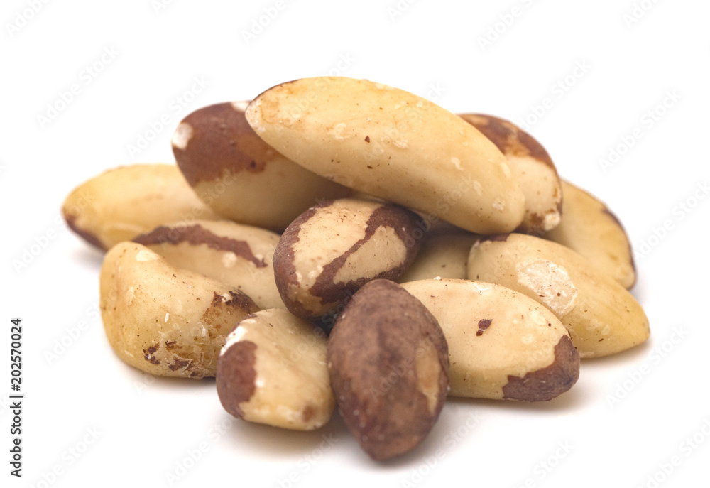 Whole Brazil Nuts on a White Background Whole Brazil Nuts on a White Background