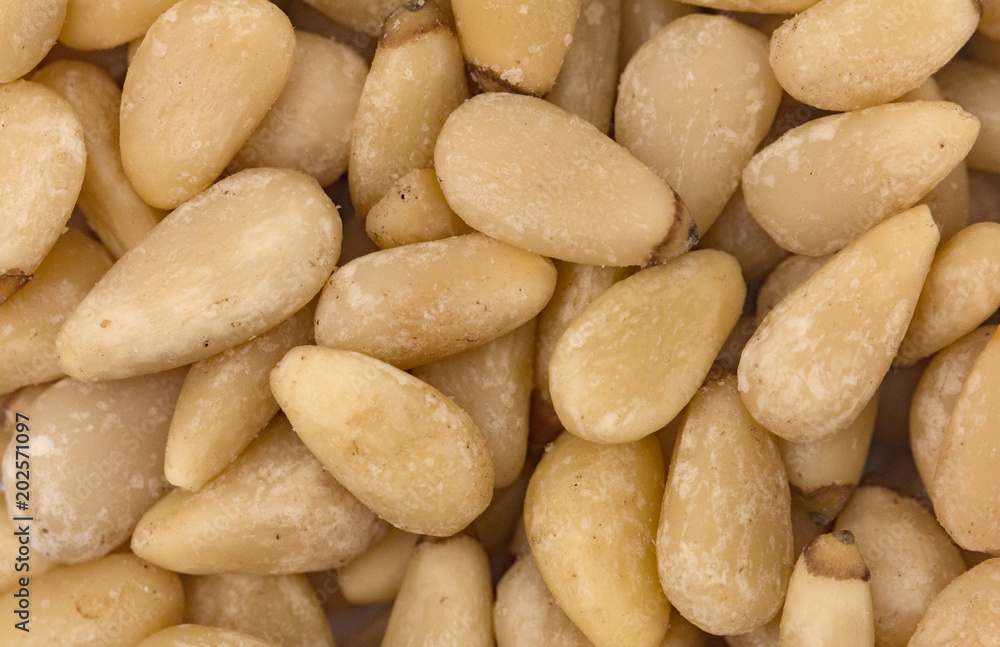 Simple Background of Pine Nuts Simple Background of Pine Nuts