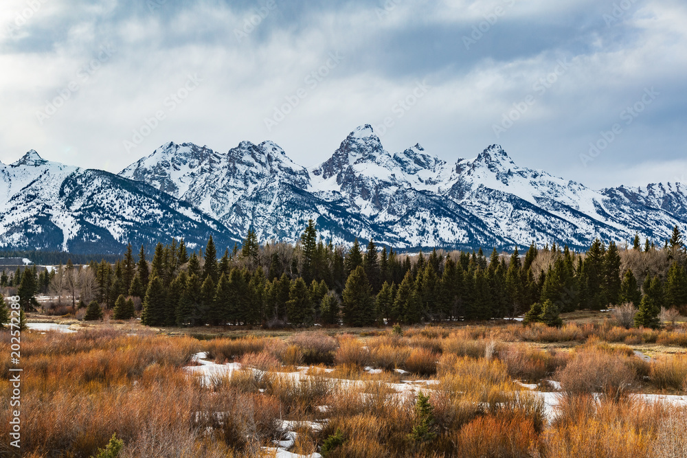 Spring Grand Teton National Park with new growth and snow on peaks