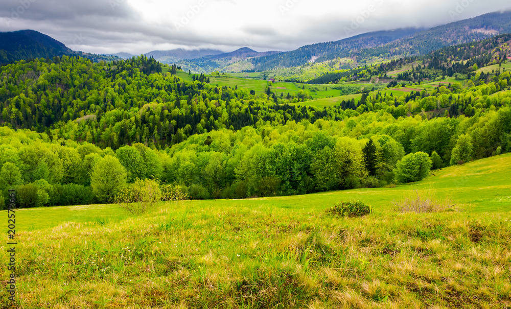 Carpathian rural area in springtime. lovely landscape of mountainous countryside
