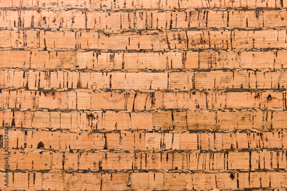 Fototapeta premium Close Up Background and Texture of Cork Board Wood Surface, Nature Product Industrial