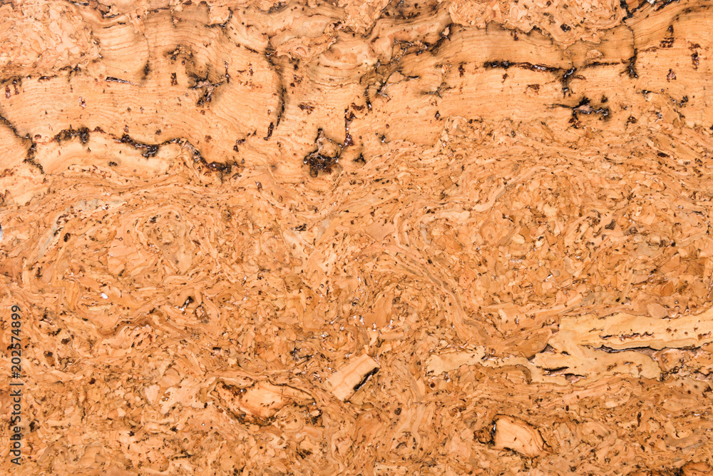 Close Up Background and Texture of Cork Board Wood Surface, Nature Product Industrial