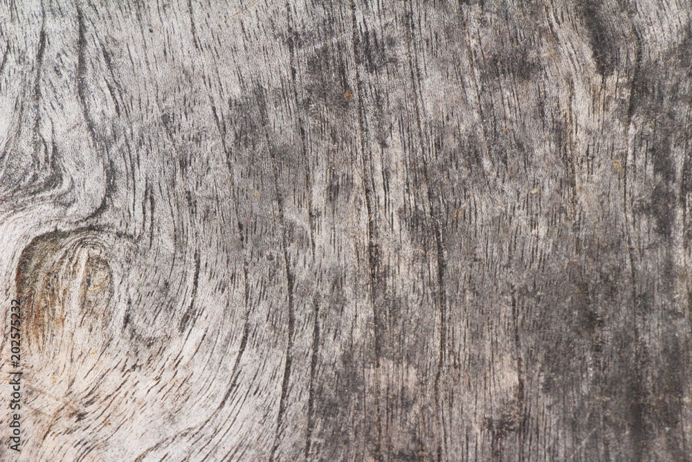 Old wooden beauty wall background and texture
