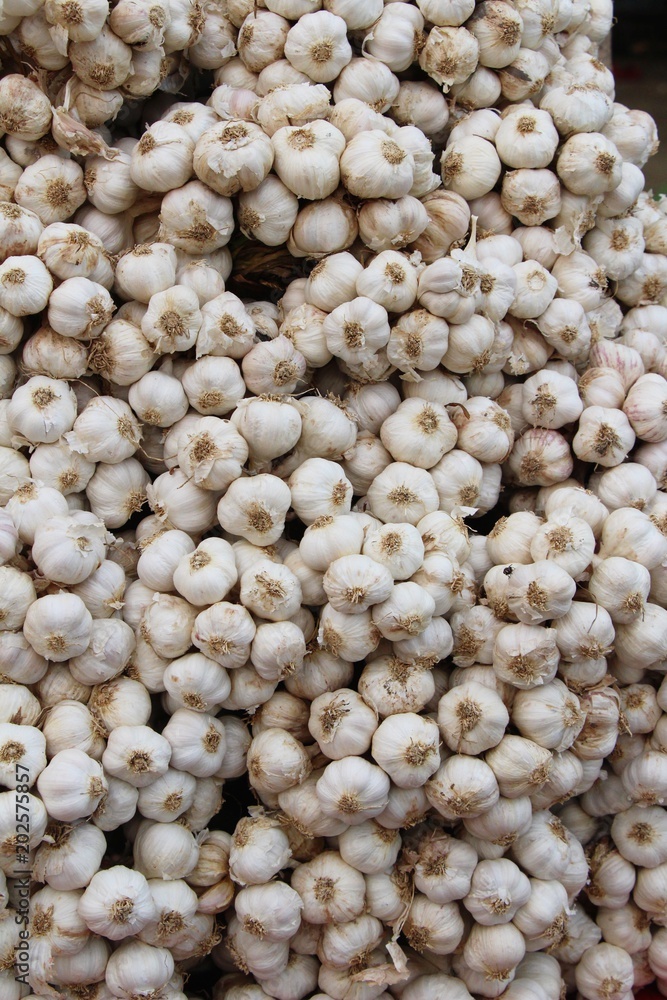 Garlic head for cooking at street food Garlic head for cooking at street food