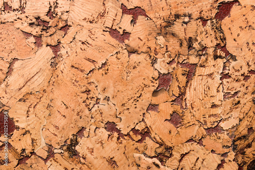 Close Up Background and Texture of Cork Board Wood Surface, Nature Product Industrial