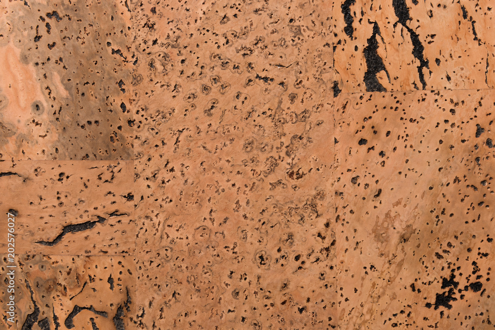 Close Up Background and Texture of Cork Board Wood Surface, Nature Product Industrial Close Up Background and Texture of Cork Board Wood Surface, Nature Product Industrial