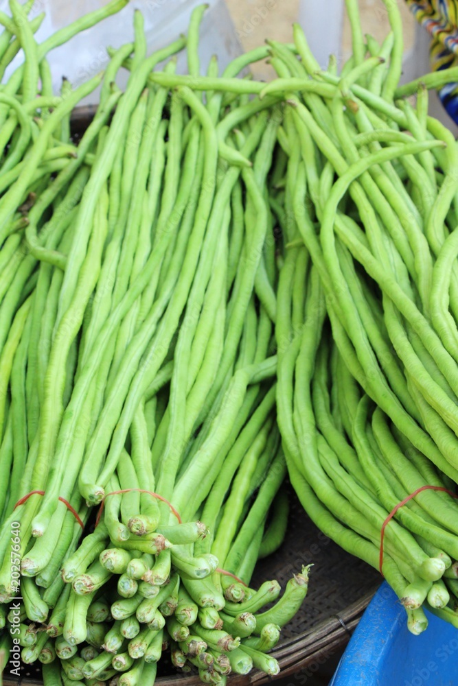 Fototapeta premium Long bean for cooking in the market